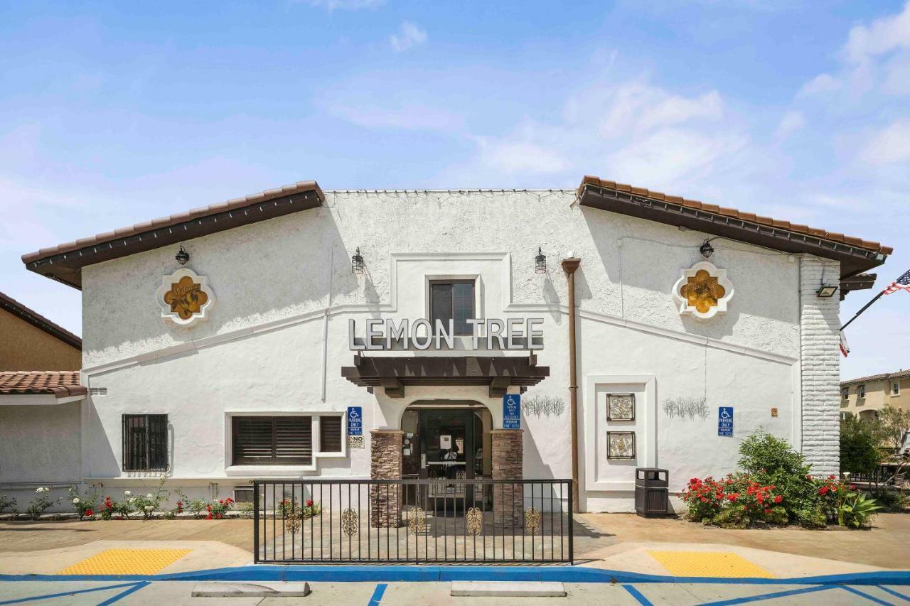 The Lemon Tree Hotel Anaheim Exterior photo